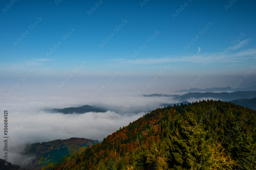 Landschaft im Schwarzwald