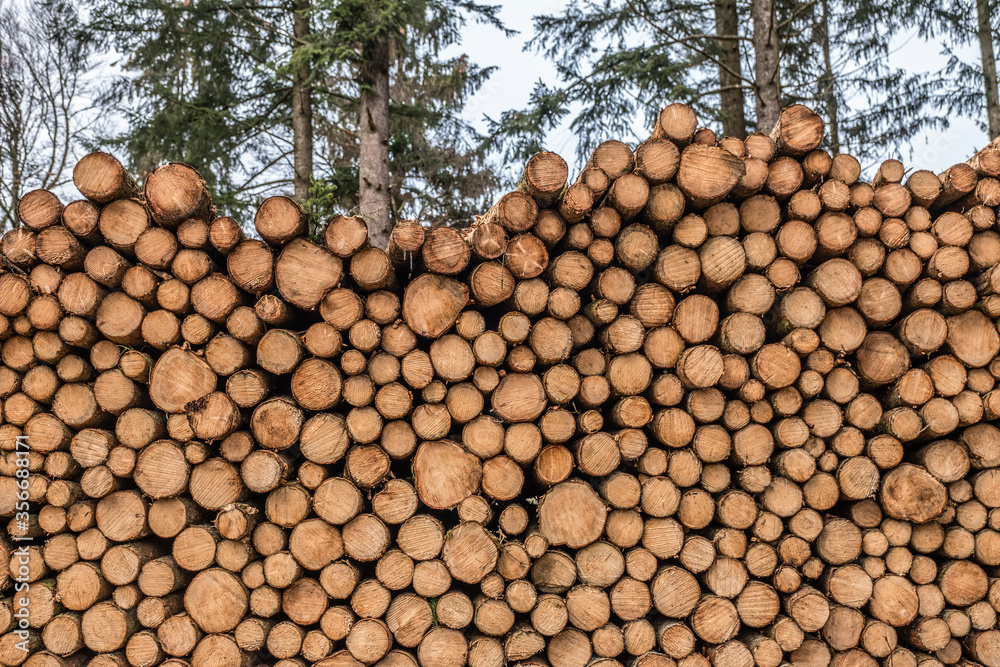 Baumstämme aufgestapelt im Wald