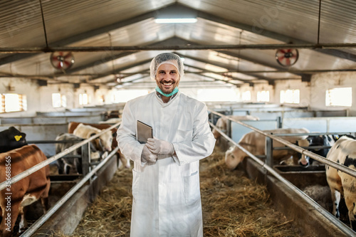 Young Caucasian unshaven veterinarian in protective uniform standing in barn with tablet under armpit. He just checked on cows.