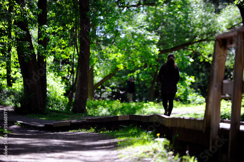 promenade dans un parc photo