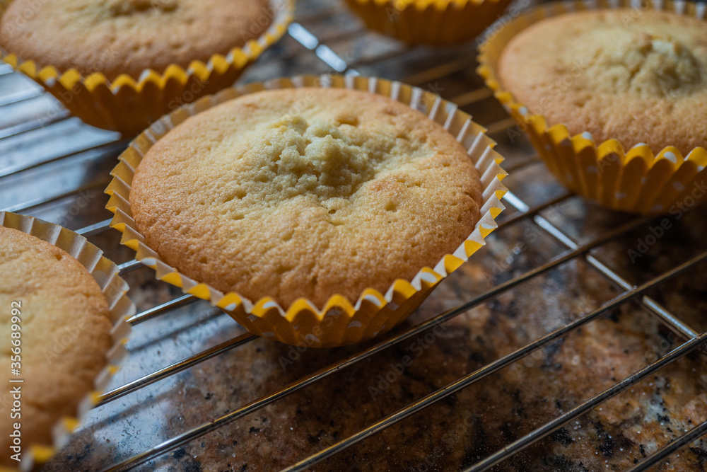 Freshly baked cupcakes without decoration sat on top of a cooling rack. Photo is close up side angle view Freshly baked cupcakes without decoration sat on top of a cooling rack. Photo is close up side angle view