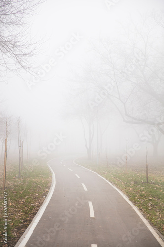 Bike path in the foggy wint...