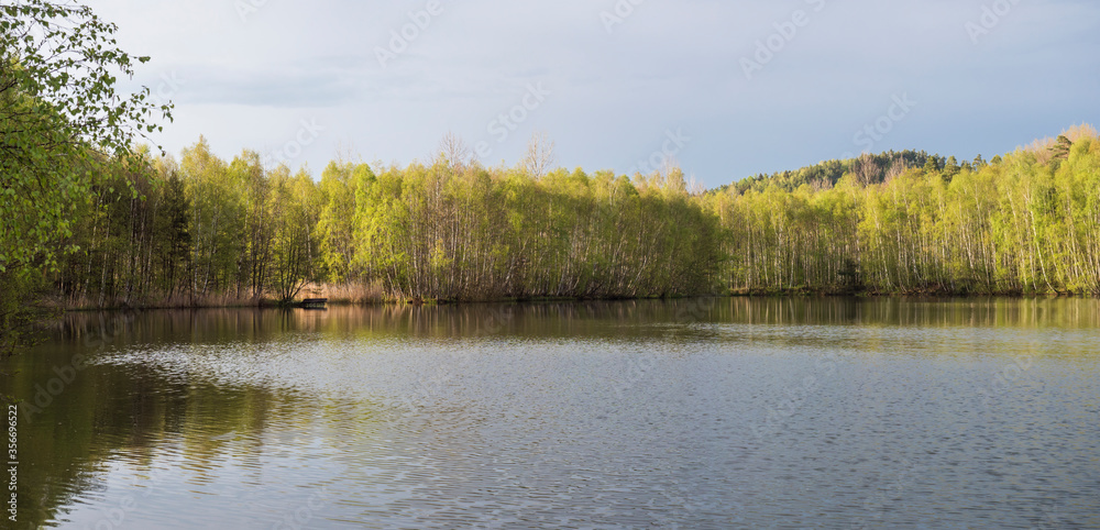 Panoramic view on calm water of forest lake, fish pond Kunraticky rybnik with birch and spruce trees growing along the shore and clear blue sky in golden sun light. Nature background. Spring landscape