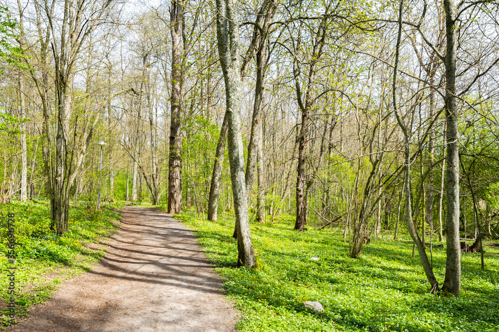 View of the walking trail in spring, Ramsholmen island, Tammisaari, Finland