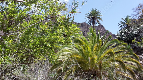 Wallpaper Mural palm trees on the beach Torontodigital.ca