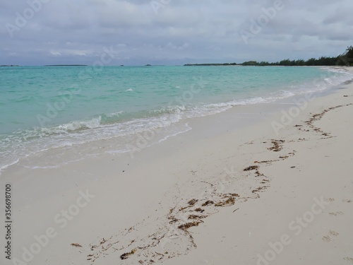 Fototapeta Naklejka Na Ścianę i Meble -  Deserted beach with soft powdery white sands with washed out seaweeds