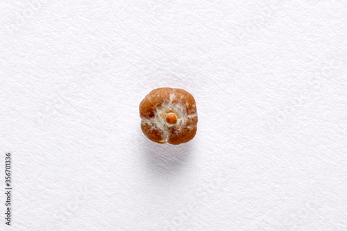 Papier peint Square shape calcium oxalate kidney stone