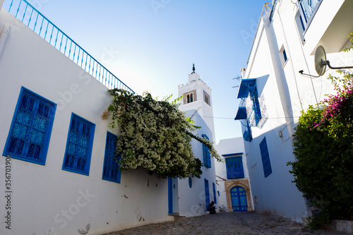 North Africa. Tunisia. Sidi Bou Said. White houses of the Medina photo