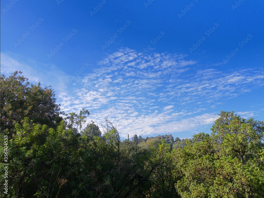 Scenic nature view of forest greens and stunning blue skies