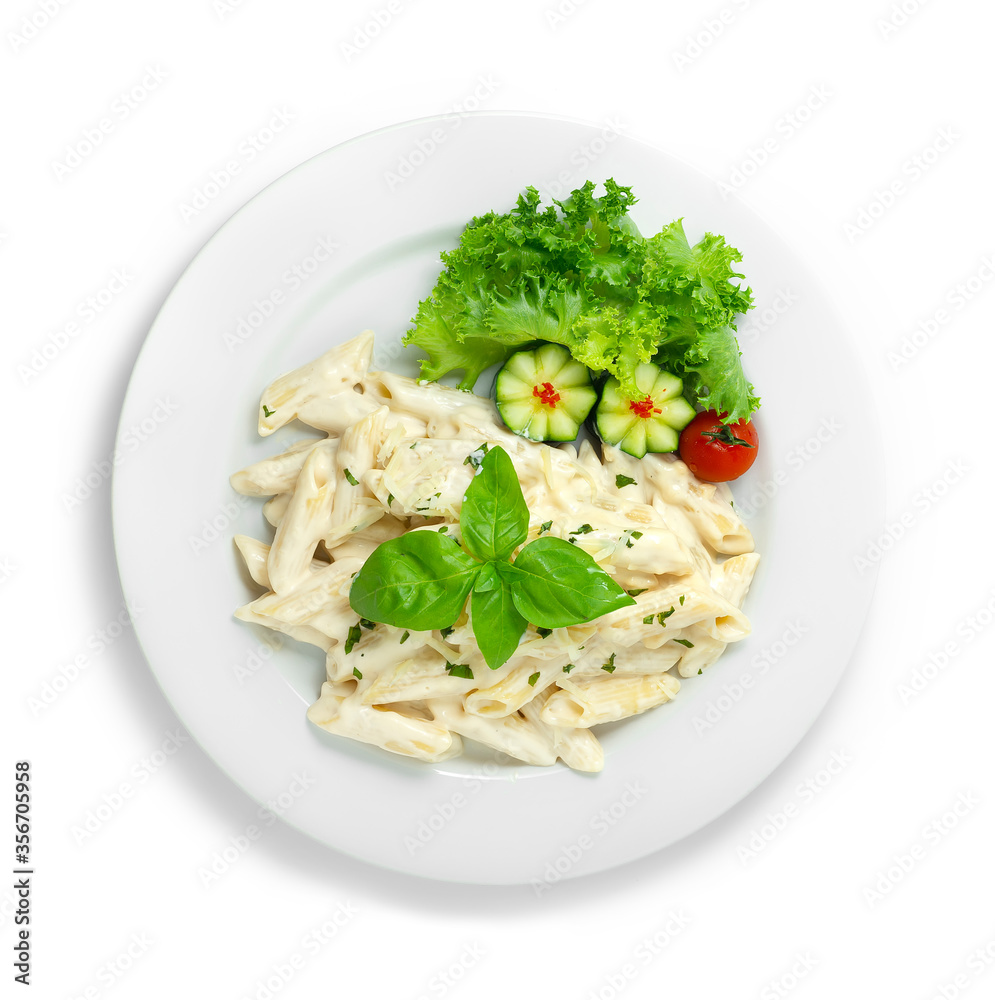 Pasta White Creamy Sauce Penne shape sprinkle with Cheese Pasta White Creamy Sauce Penne shape sprinkle with Cheese