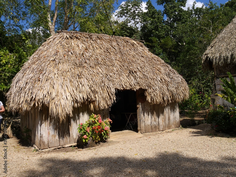 Thatched-roofed hut in a village in Costa Maya, Mexico Thatched-roofed hut in a village in Costa Maya, Mexico