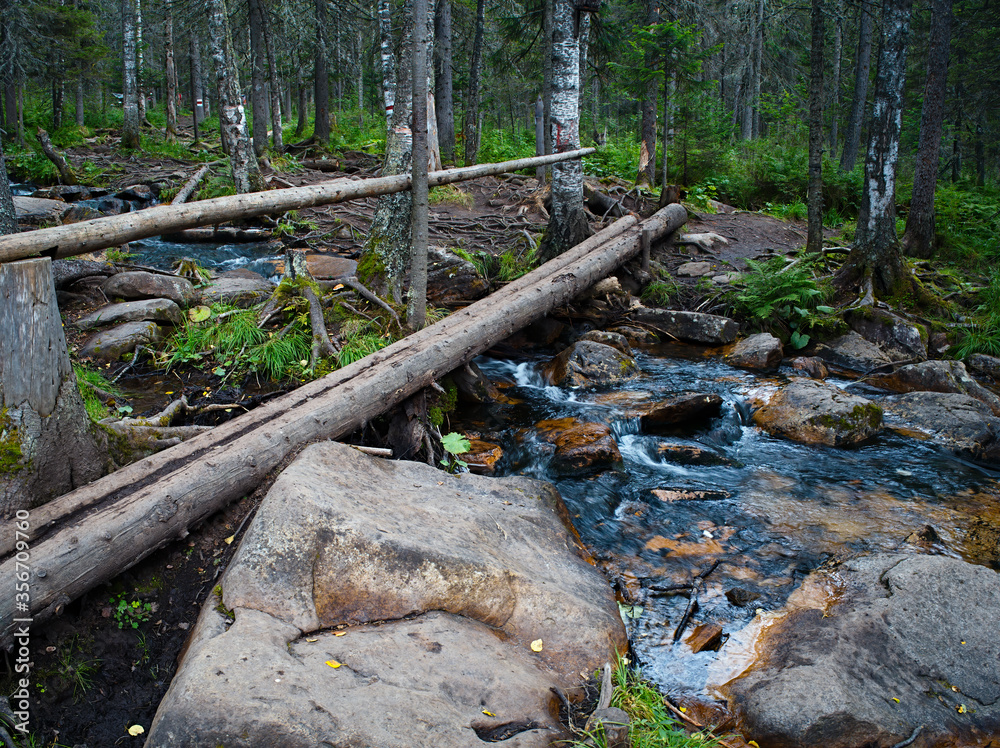 Obraz premium Crossing a mountain stream in the forest. Hiking.
