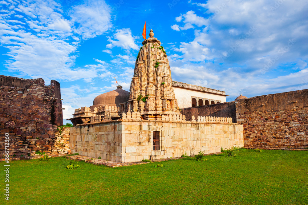 Fototapeta premium Rana Ratan Palace, Chittor Fort, Chittorgarh