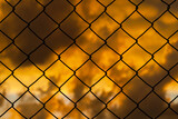 Grid with blurred golden sunset sky behind as background