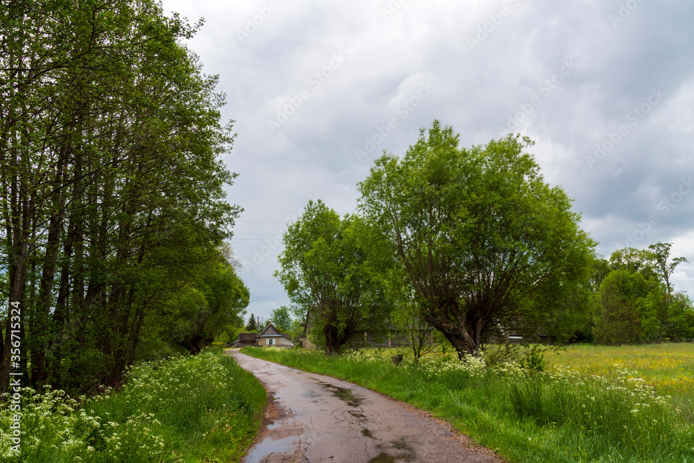 Tajemnicza i piękna Dolina Górnej Narwi, Podlasie, Polska Tajemnicza i piękna Dolina Górnej Narwi, Podlasie, Polska