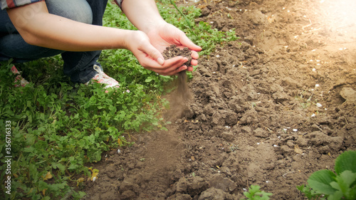 Closeup image of young woman holding dry earth or soil in hands at garden