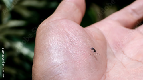 A hand that is bitten by a mosquito