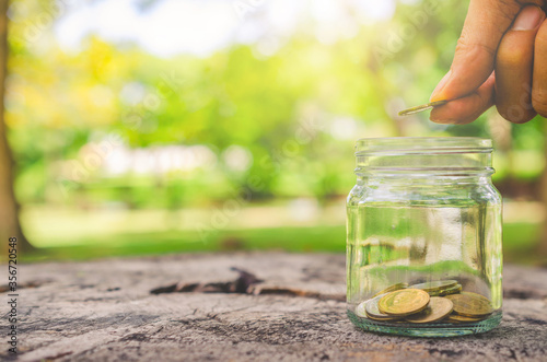 investor business man hand putting coins in jar on wood table with blur nature park background. money saving concept for financial banking and accounting.