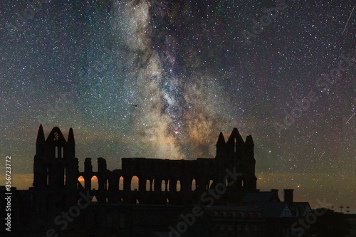Ruin galaxy
