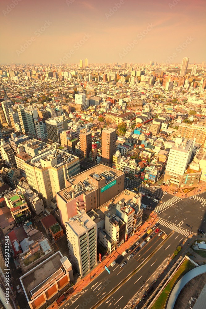 Obraz premium Tokyo sunset