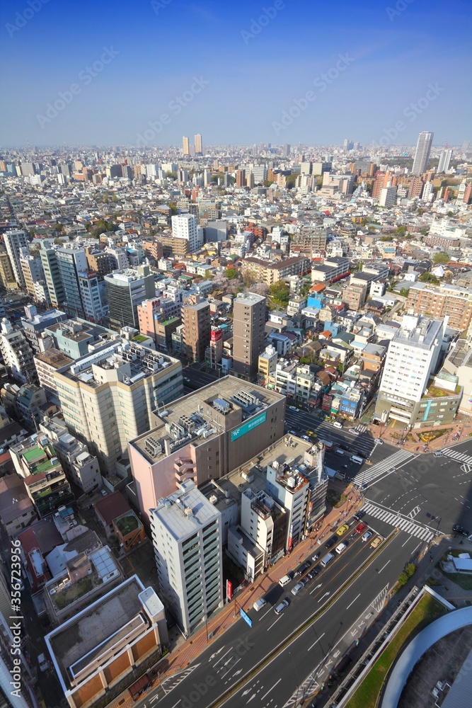 Fototapeta premium Tokyo, Japan