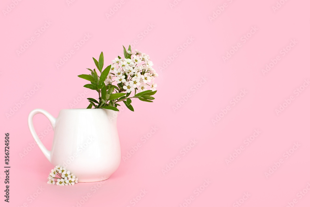 small white flowers in a vase on a pink background