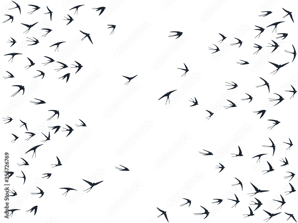 Fototapeta premium Flying martlet birds silhouettes vector illustration. Nomadic martlets flock isolated on white. 