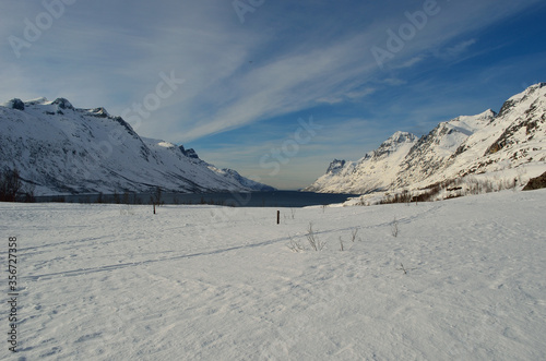 majestic tall snowy mountain with vibrant blue sky and fjord
