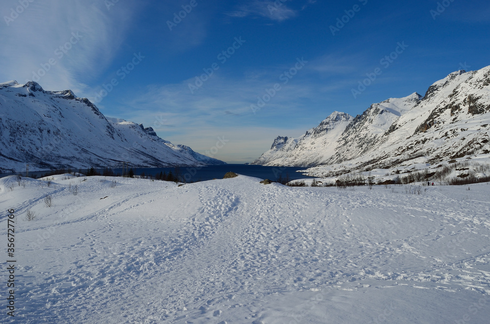 majestic tall snowy mountain with vibrant blue sky and fjord