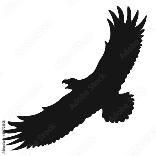 flying big bird of prey with an open beak