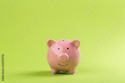pink piggy bank on a green background.