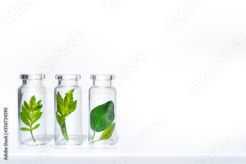 Bottles with herbs, natural essential oil, organic cosmetics on white background photo