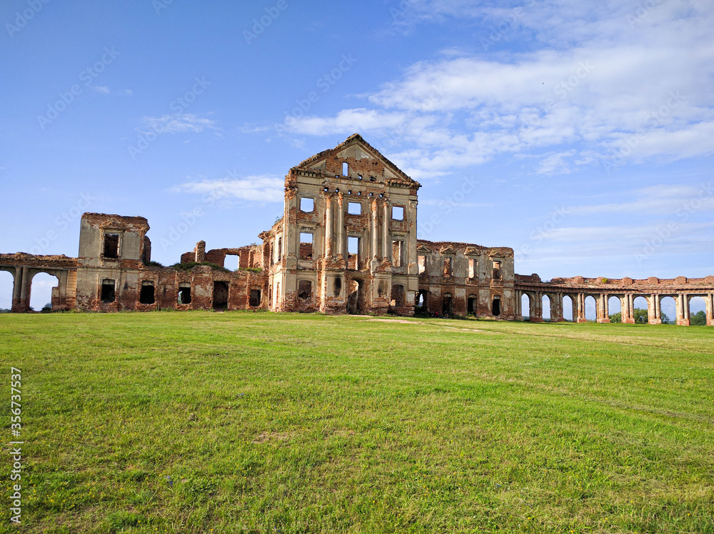 ruins of an old castle on a green meadow