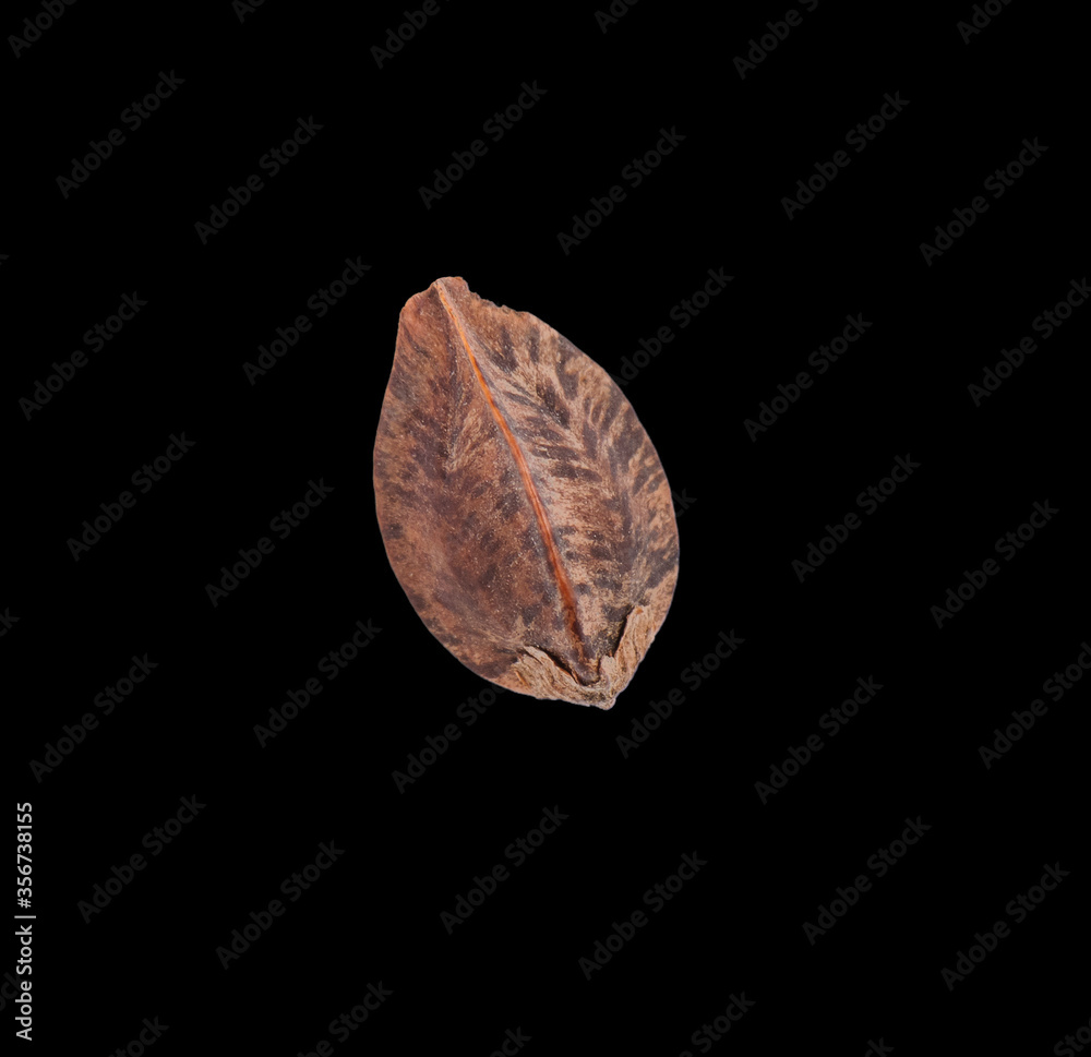 Naklejka premium single buckwheat in a peel on black background
