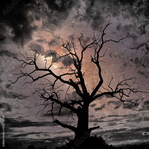 Spooky stars
