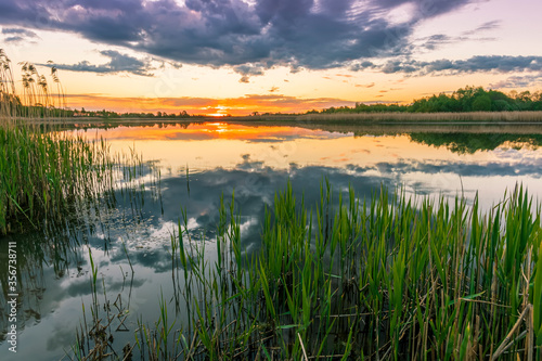 Scenic view at beautiful spring sunset with reflection on a shiny lake with green reeds  bushes  grass  golden sun rays  water  deep blue cloudy sky and glow on background  spring evening landscape