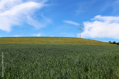 Landscape with green wheat field and blue sky