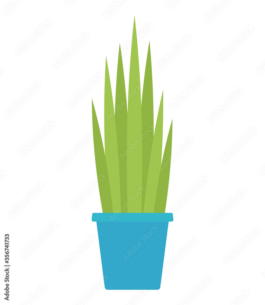 Indoor flower with high leaves in a pot vector flat isolated Indoor flower with high leaves in a pot vector flat isolated