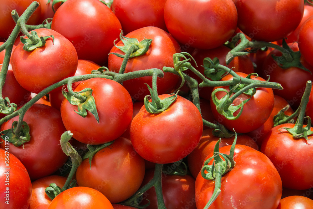 A group of red tomatoes A group of red tomatoes