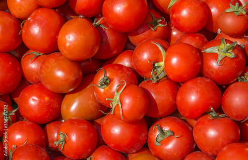 A group of red tomatoes