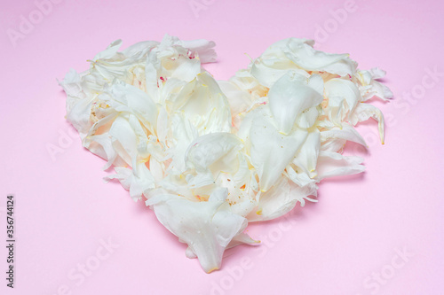 Fototapeta Naklejka Na Ścianę i Meble -  Close up of white peony petals shaped like a heart isolated on pink background. Symbol of love. Flat lay, top view. Idea for decor, wallpaper, poster