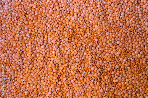 Scattered red lentil seeds texture. Grains pattern, food background, texture idea