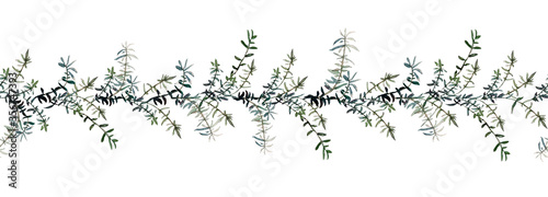 Seamless border of green rosemary twigs, isolated on white. Watercolor illustration. For adhesive tape, recipes, cookbooks, scrapbooking and packaging design.