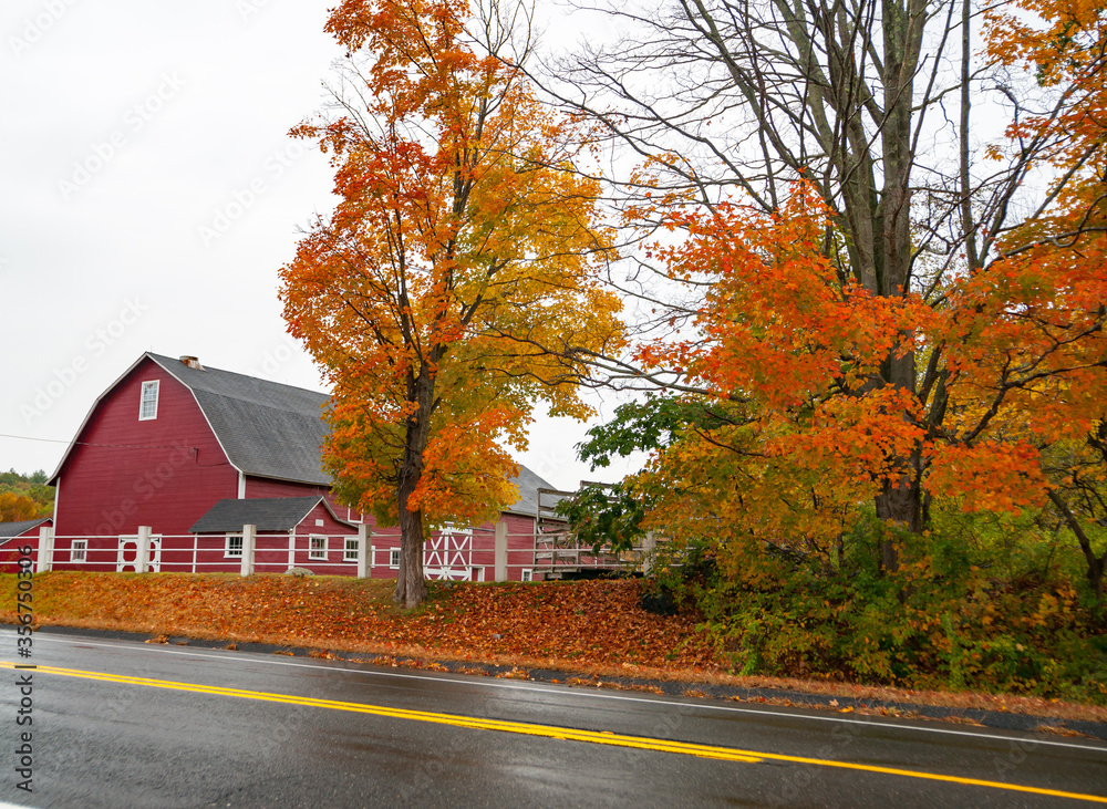 Traditional American style red barn from passing highway in fall with bright foliage in rural USA.