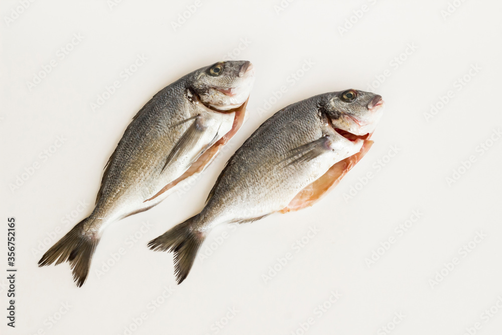 Uncooked sea bream fish on white surface with copy space,top view Uncooked sea bream fish on white surface with copy space,top view