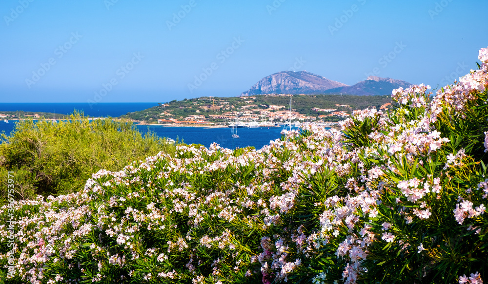 Portisco, Sardinia, Italy - Panoramic view of yacht marina and port of Portisco resort town - Marina di Portisco - at Costa Smeralda Emerald Cost of Tyrrhenian Sea