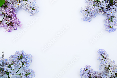Fototapeta Naklejka Na Ścianę i Meble -  White background branches of common lilac. View from above. Place for text.