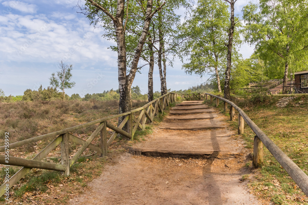 Steps going up the Lemelerberg hill in Overijssel, Netherlands