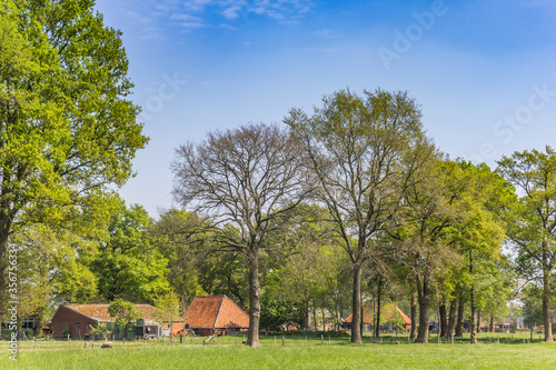 Little farm in the landscape of Overijssel, Netherlands