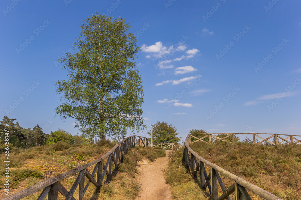 Footpath leading up to the top of the Lemelerberg hill in Overijssel, Netherlands